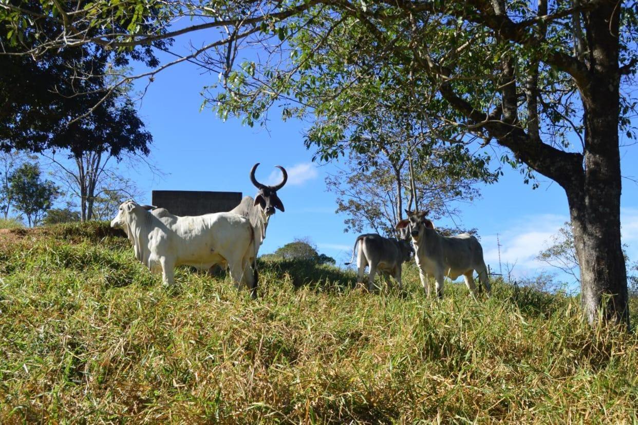 Hotel Fazenda Tucano Capim Branco 外观 照片
